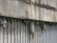 Ảnh bìa bài viết 374798