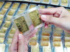 Ảnh bìa bài viết 374998