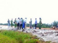 Ảnh bìa bài viết 374873