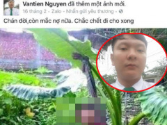 Ảnh bìa bài viết 374933