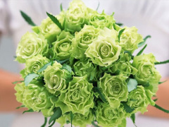 Ảnh bìa bài viết 374747