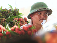 Ảnh bìa bài viết 374731