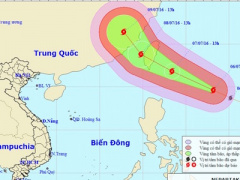 Ảnh bìa bài viết 375002