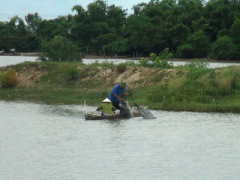 Ảnh bìa bài viết 375204