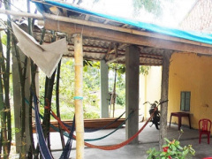 Ảnh bìa bài viết 375100