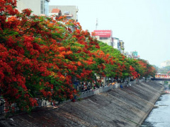Ảnh bìa bài viết 375317
