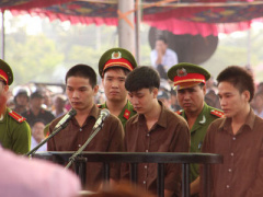 Ảnh bìa bài viết 375488