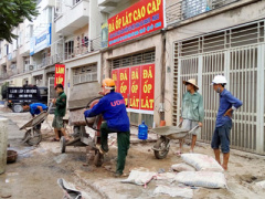 Ảnh bìa bài viết 375335
