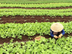 Ảnh bìa bài viết 375632