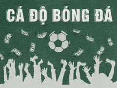 Ảnh bìa bài viết 375737