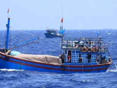 Ảnh bìa bài viết 375879