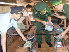 Ảnh bìa bài viết 375960