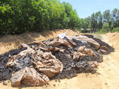 Ảnh bìa bài viết 376413