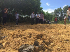 Ảnh bìa bài viết 376425