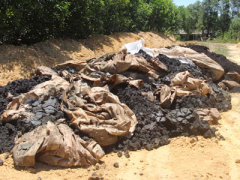 Ảnh bìa bài viết 376439