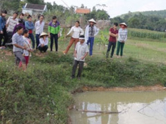 Ảnh bìa bài viết 376430