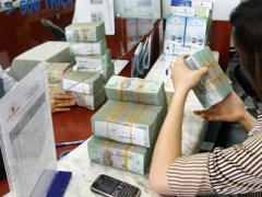 Ảnh bìa bài viết 376374