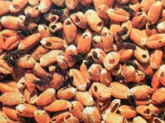 Ảnh bìa bài viết 376410
