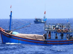 Ảnh bìa bài viết 376239