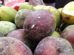 Ảnh bìa bài viết 376559