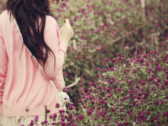 Ảnh bìa bài viết 376651