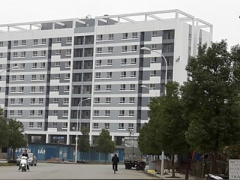 Ảnh bìa bài viết 376500