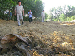 Ảnh bìa bài viết 376584