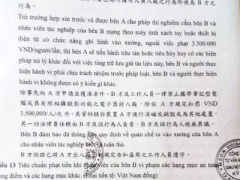 Ảnh bìa bài viết 376873