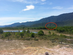 Ảnh bìa bài viết 376934