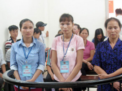 Ảnh bìa bài viết 377218