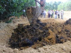 Ảnh bìa bài viết 377036