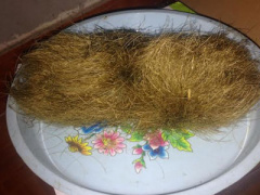 Ảnh bìa bài viết 377031