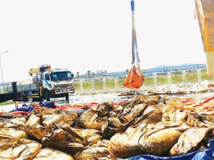 Ảnh bìa bài viết 377429