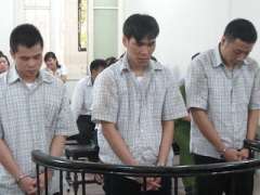 Ảnh bìa bài viết 377331