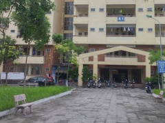 Ảnh bìa bài viết 377408