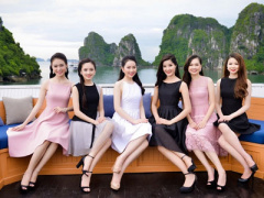 Ảnh bìa bài viết 377366