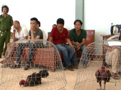 Ảnh bìa bài viết 377380