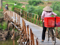 Ảnh bìa bài viết 377537