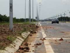 Ảnh bìa bài viết 378092
