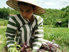 Ảnh bìa bài viết 377904