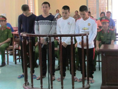 Ảnh bìa bài viết 378455