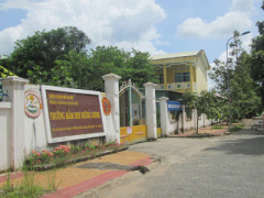Ảnh bìa bài viết 378453