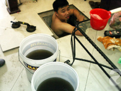Ảnh bìa bài viết 378204