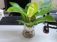 Ảnh bìa bài viết 378286
