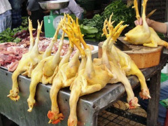 Ảnh bìa bài viết 378260