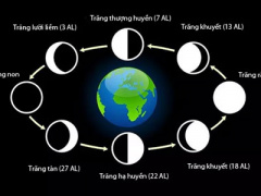 Ảnh bìa bài viết 378319