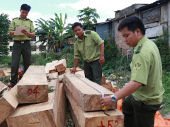 Ảnh bìa bài viết 378175