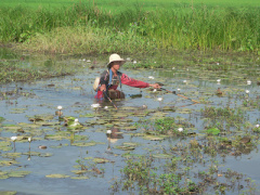 Ảnh bìa bài viết 378466