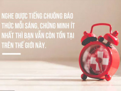 Ảnh bìa bài viết 378600