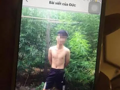Ảnh bìa bài viết 378603